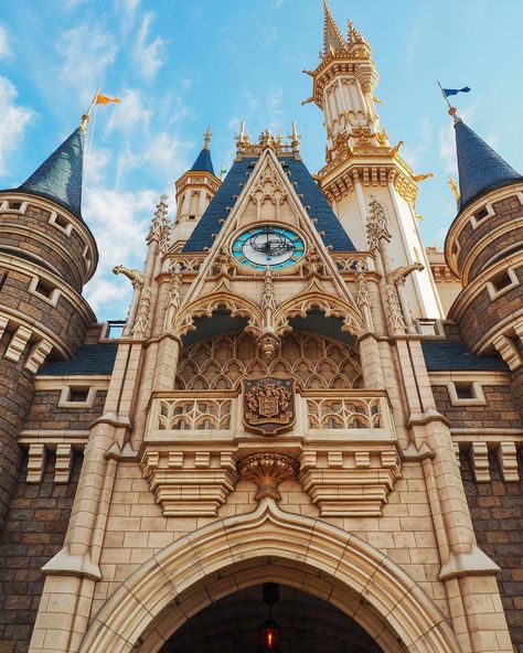 Alexander (Zan) on Instagram: “Happy Weekend, everyone! 😀 Cinderella Castle, Tokyo Disneyland 🏰” Tokyo Disneyland Castle, Disneyland Castle, Cinderella Castle, Tokyo Disneyland, Happy Weekend, Barcelona Cathedral, Disneyland, Cinderella, Alexander