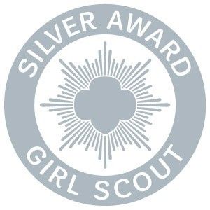 Girl Scout Silver Award Cadette Journey, Cadette Girl Scout Badges, Girl Scout Silver Award, Girl Scout Logo, Scouts Badges, Cadette Badges, Girl Scout Camp, Girl Scouts Cadettes, Art Of Communication