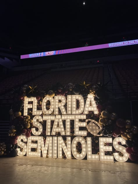 College Senior Year, Florida State Seminoles Football, Seminoles Football, Bling Bottles, Future Vision Board, Fsu Seminoles, Life Manifestation, College List, Dream Reality