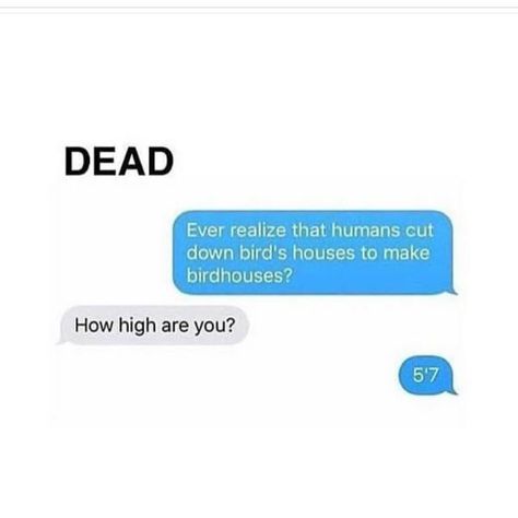 Shared via Thunder Dungeon App Funny Text Conversations, How High Are You, Text Jokes, Memes Humor, Funny Messages, Funny Text Messages, Really Funny Memes, Best Funny Pictures, Funny Posts