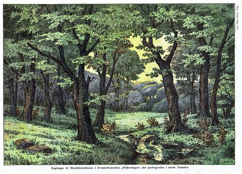 Vintage Forest Illustration, Storybook Forest, Theatrical Scenery, Theatre Backdrops, Paper Theatre, Toy Theatre, Colored Pencil Artwork, Forest Illustration, Fairytale Illustration