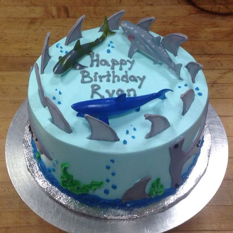 Shark Finding Nemo, Cake Shark, Cake With Royal Icing, Bruce The Shark, Birthday Cake Boys, Shark Cakes, Shark Birthday Cake, Shark Themed Birthday, Finding Nemo Cake