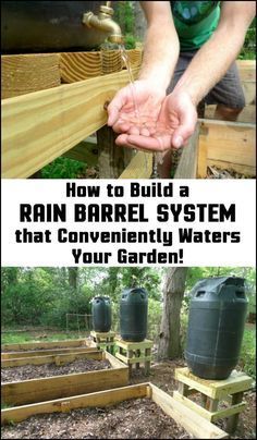 Unless you live in a very wet climate, it’s always good to be able to collect rain water for your garden. Here's a great project you might be interested in doing... Collect Rain Water, Rain Barrel System, Rain Barrels, Homestead Gardens, Watering System, Permaculture Gardening, Permaculture Design, Garden Wallpaper, Water Collection