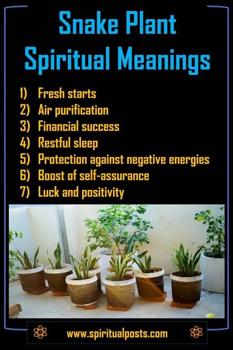 Snake Plant Meaning, Snake Plant Benefits, Snake Spiritual Meaning, Plant Meanings, Spiritual Guide, Plant Benefits, Spiritual Protection, Spiritual Guides, Spiritual Meaning