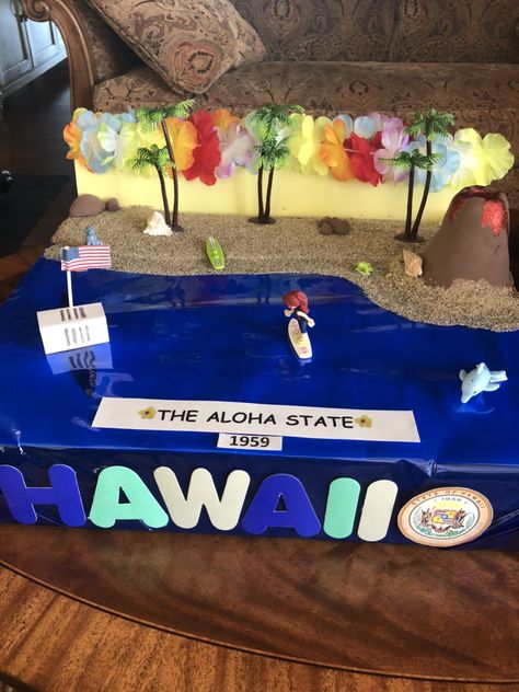 Hawaii Diorama, Hawaii State Float Project, Hawaii School Project Ideas, Hawaii State Project, Hawaii Kids, Study Planner, Diy Box, School Projects, Projects For Kids