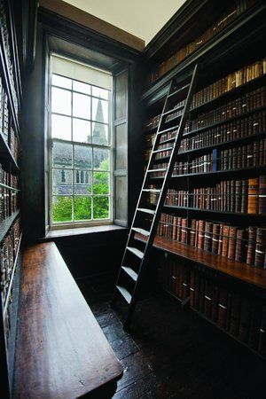 Mona Mina, Moody Library, Dark Bookshelves, Dark Library, Bookshelf Ladder, Small Library, Wood Books, Wood Library, Lots Of Books