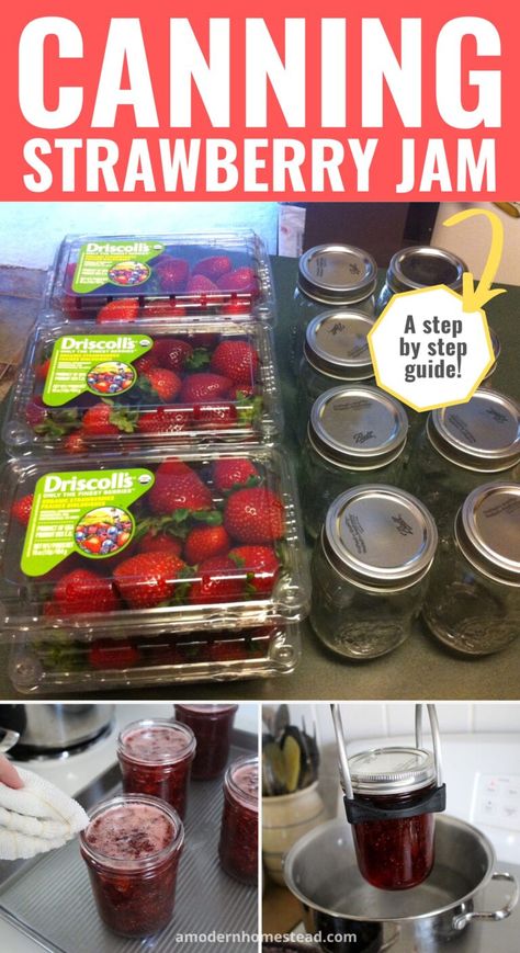 Canning Strawberry Jam Strawberry Jelly Recipe Canning, Strawberry Jam Recipe Canning, Canning Strawberry Jam, Strawberry Jelly Recipes, Strawberry Jam Without Pectin, Jam Without Pectin, Water Bath Canning Recipes, Canned Strawberries, Canning Ideas