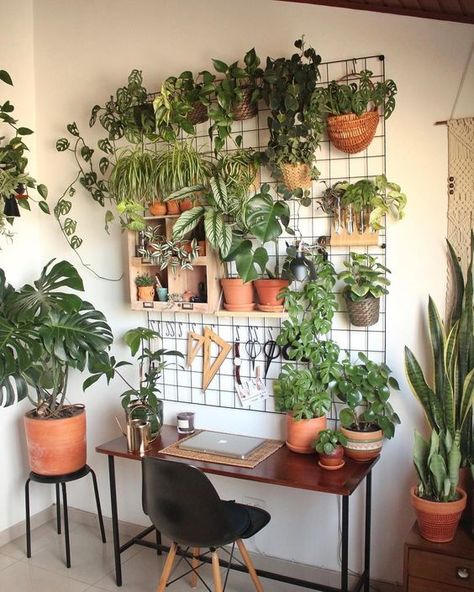 Indoor Garden Goals - Inspiration For All Plant Parents - momooze.com Green Home Offices, Diy Organizers, Beautiful Office, Plant Room, Deco Nature, Bedroom Plants, Plant Decor Indoor, Office Plants, Plant Aesthetic