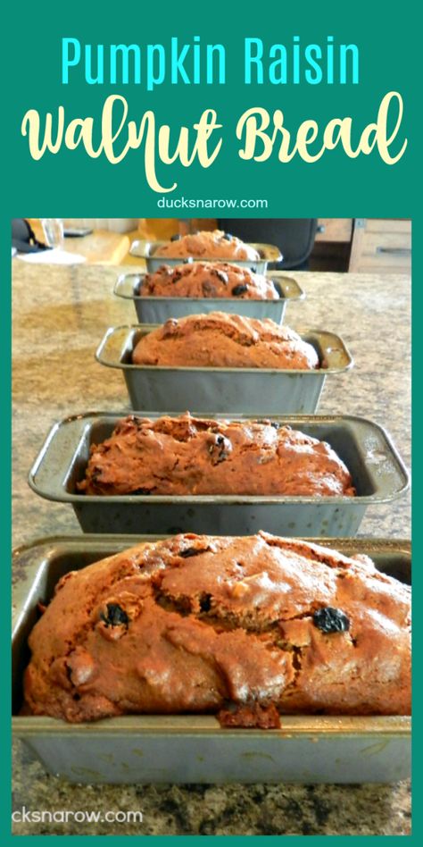 Raisin Walnut Bread Recipe, Sweet Bread Meat, Raisin Recipes, Walnut Bread, Pumpkin Recipes Dessert, Pumpkin Bread Recipe, Banana Nut Bread, Nut Bread, Bread Recipes Sweet