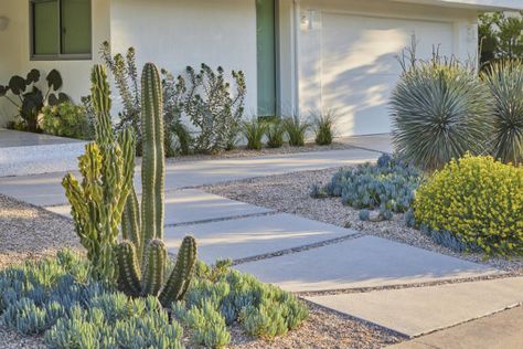 5 front yard mistakes landscape designers say you should avoid – and what to do instead Modern Desert Landscaping, Apartment Landscape, Desert Plants Landscaping, Native Landscaping, Palm Springs Houses, Oasis Springs, Gravel Pathway, Lawn Alternatives, Modern Front Yard