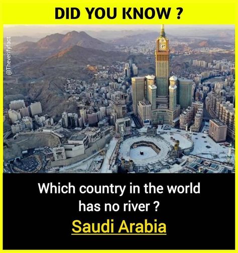 Unknown Facts About World, Facts About World, Physcology Facts, Interesting Science Facts, Country Facts, True Interesting Facts, Interesting Facts About World, Trivial Pursuit, Cool Science Facts