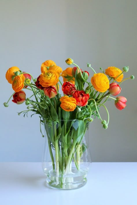 Ranunculus Butterfly, Winter Floral Arrangements, Flowers In Vases, Tulips In Vase, Flower Vase Arrangements, Paint Flowers, Flower Arrangements Simple, Flower Farmer, Tulip Bouquet