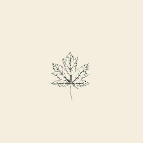 Fall Tattoo Aesthetic, Maple Leaf Logo Design, Fall Leaves Tattoo Black, Tattoo Leaf Designs, Fall Logo Design, Fall Themed Tattoos, Autumn Leaf Tattoo, Fall Leaf Tattoo, Autumn Leaf Drawing