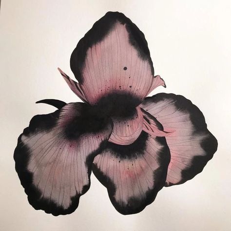 Stephen Doherty, Superflat, Flower Icons, Nothing But Flowers, Flower Therapy, Arte Inspo, Foto Art, Ethereal Art, Naan