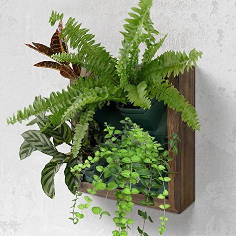 Amazon.com: QUOAOT Vertical Wall Planter, 4 Pots Self Watering Living Wall Planter Indoor, Wooden Frame Planter Wall Decoration Home Office (No Screw) : Patio, Lawn & Garden Vertical Garden Wall Planter, Living Wall Planter, Porch Wall Decor, Indoor Plants Styling, Tattoo Plant, Indoor Plant Wall, Wall Planters Indoor, Planter Wall, Vertical Wall Planters