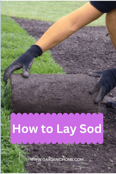 Bermuda Sod, How To Lay Sod, House Projects, The Soil, Mulch, Like A Pro, Easy Steps, Garden Landscaping, Garden Ideas