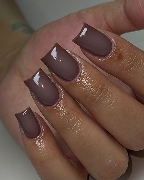 brown looks good on everyone 😋🤎 bad n boujee, 133, 134 x @vbeautypure #shortnails #shortsquarenails #brownnails #auranails #airbrushnails #acrylicfill #blacknailtech #frenchnails #frenchtipnails #xlnails #fallnails #blacknails #taperedsquarenails #coffinnails #nailart #nailartist #handpaintednailart #tampanails #tampanailtech #813nails #813nailtech #clearwaternails #stpetenails #newportricheynails #vbeautypure Brown Short Square Nails, Brown Nails Short Square, Short Brown Square Nails, Mocha Short Nails, Brown French Tip Nails Square Short, Short Square Nails Brown Design, Brown Ombre Nails Short, Short Square Acrylic Nails Fall Brown, Brown Square Acrylic Nails