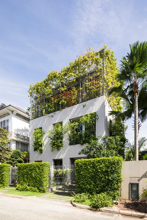 Gallery of Stepping Park House / VTN Architects - 2 Vtn Architects, Green Facade, Tropical Architecture, Park House, Water House, Natural Ventilation, House Elevation, Park Homes, Green Roof