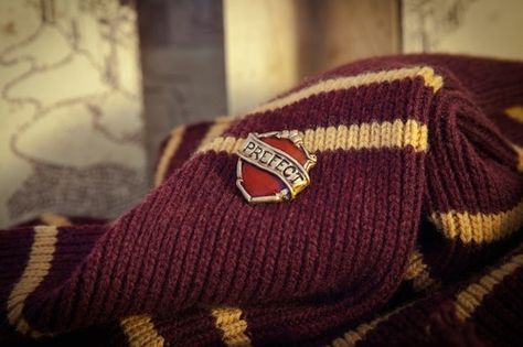 harry potter, gryffindor, and hogwarts image Hermione Granger Aesthetic, Percy Weasley, Stile Harry Potter, Gryffindor Aesthetic, Ronald Weasley, Buku Harry Potter, Images Harry Potter, Hogwarts Aesthetic, Harry Potter Houses