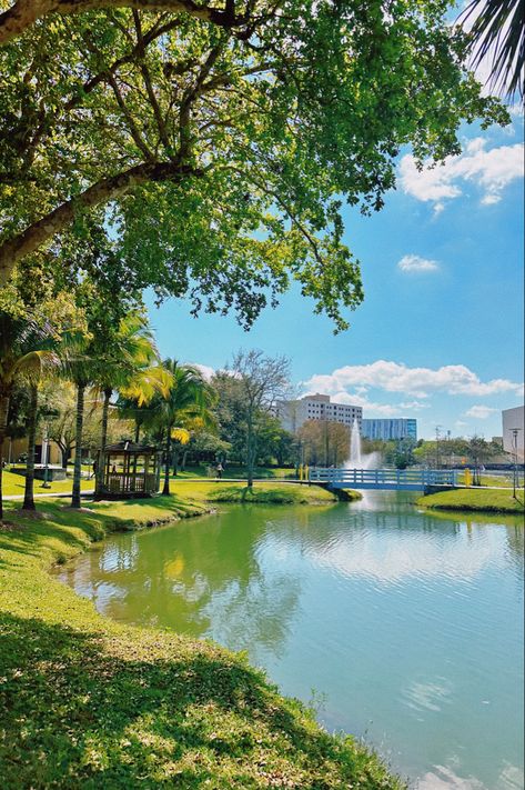 Florida International University Campus, Florida International University Aesthetic, Beach College, Florida University, Florida College, College Vibes, College Vision Board, Colleges In Florida, Florida International University