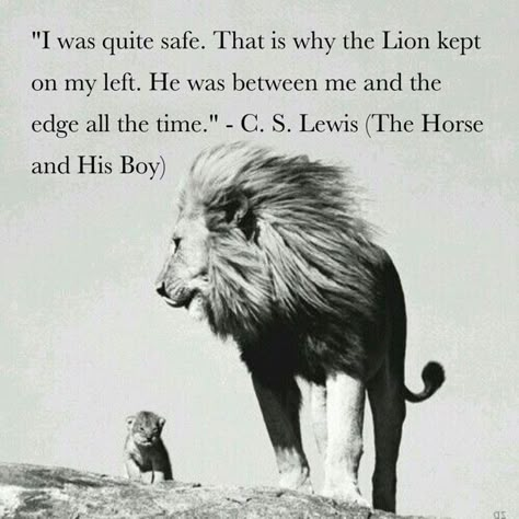 "I was quite safe. That is why the Lion kept on my left. He was between me and the edge all the time." -C. S. Lewis (The Horse and His Boy) Narnia Quotes Inspiration, C S Lewis Quote Narnia, Chronicles Of Narnia Tattoo, Chronicles Of Narnia Quotes, Cs Lewis Quotes Narnia, Cs Lewis Narnia, The Horse And His Boy, Narnia Quotes, Lewis Quotes