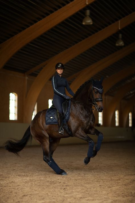 Horse Riding Dressage, Piaffe Dressage, Dressage Horses Photography, Rich Equestrian Aesthetic, Horse Riding Competition, Dressage Aesthetic, Dressage Photography, English Horse Riding, Rich Equestrian