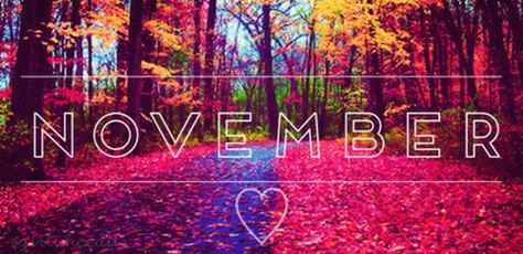 November November Pictures, November Images, Welcome November, November Quotes, November Wallpaper, Heather Stillufsen, November Calendar, Sweet November, Cover Pics For Facebook