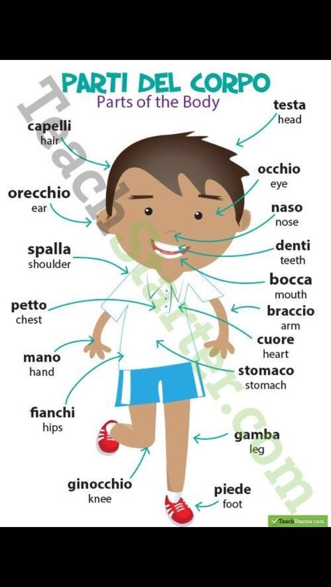 Italian Beginners, Italian Worksheets, Language Poster, Italian Learning, Italian Courses, Basic Italian, Learn To Speak Italian, Italian Grammar, Italian Vocabulary