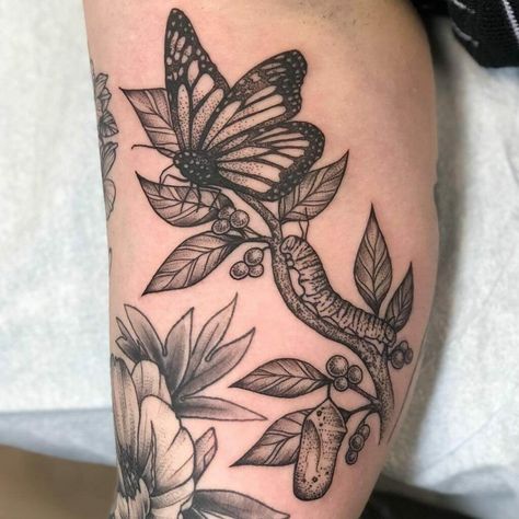 What To Add To A Butterfly Tattoo, Phases Of Butterfly Tattoo, Butterfly Tattoo Add On, Butterfly Below Knee Tattoo, Evolving Butterfly Tattoo, Catapillar To Butterfly Tattoo, Metamorphosis Butterfly Tattoo, Cocoon To Butterfly Tattoo, Butterfly Cycle Tattoo