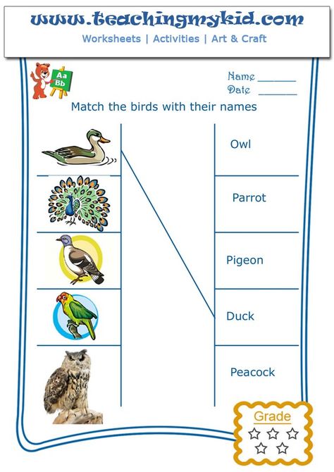 Match the birds with their names – Worksheet 2 Birds Name, English Word Book, Primary Teacher, Matching Worksheets, Colorful Borders Design, Animal Worksheets, K Crafts, 1st Grade Math Worksheets, Learning English For Kids