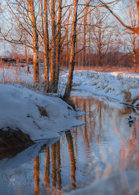 Winter Photography Nature, Winter Landscape Photography, Scenery Pictures, Winter Painting, Forest Photography, Winter Scenery, Landscape Artwork, Snow Scenes, Winter Art