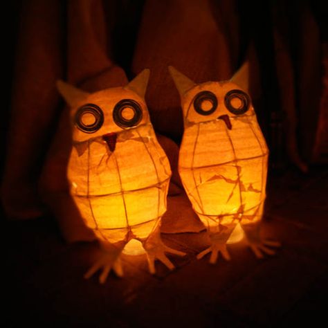 owlwedding6 Willow Lanterns, Owl Decorations, Lantern Parade, Owl Lantern, Owl Tutorial, Owl Wedding, Ideas For Costumes, Halloween Decorations Ideas, Willow Weaving