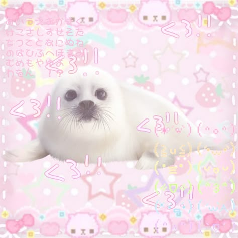 Cute Core Wallpaper, Seal Kawaii, Kawaiicore Edit, Cute Core Pfp, Seals Cute, Seal Icon, Kawaii Seal, Cutecore Edit, Kawaii Edit