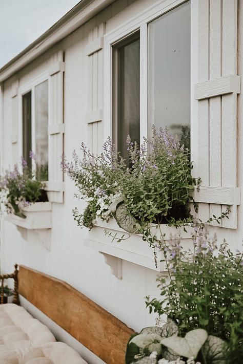 Spring Cottage Window Boxes - Liz Marie Blog Cottage Window Boxes, Nantucket Window Boxes, House With Window Boxes, Outdoor Window Boxes, Greek Cottage, Window Boxes Ideas, Flower Window Boxes, Cottage Front Garden, Window Box Ideas