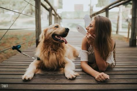 Dog Owner Photoshoot, Dog Family Pictures, Family Dog Photos, Pet Photography Poses, Dog Photoshoot Pet Photography, Dog Photography Poses, My Love Photo, Animal Photoshoot, Inspiration Photoshoot