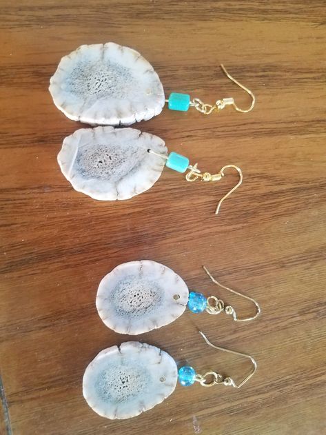 Antler Earrings Diy, Antler Accessories, Moose Hide Earrings, Devils Club, Antler Earrings Handmade, Moosehide Earrings, Antler Diy, Elk Ivory Earrings, Deer Horn Jewelry