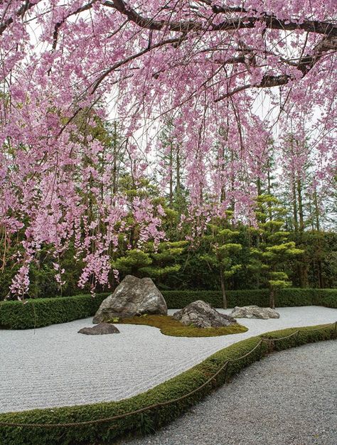 Taizō-in, Myōshin-ji Complex, Rinzai Zen Buddhism, Kyoto, 1404, Muromachi Period; with later additions, Shōwa Period, Kanō Motonobu (attributed) and pond garden by Kinsaku Nakane© Akira Nakata Japandi Garden, Japanese Garden Decor, Super Target, Japan Garden, Japanese Garden Design, Asian Garden, Japanese Gardens, Pink Garden, Tea Garden