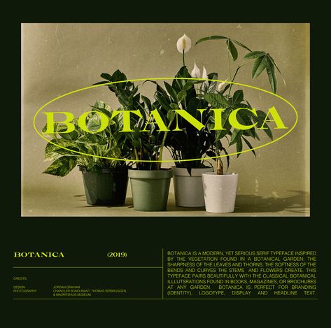 Green Aesthetic Graphic Design, Plants Graphic Design, Plant Graphic Design Poster, Graphic Design Green, Nature Typography Poster, Layout Editorial, Fotografi Digital, Desain Editorial, 카드 디자인