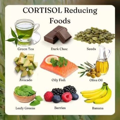 Mediterranean Diet | Recipes | Meal Plan 🇺🇸 on Instagram: "✨ Understanding Cortisol & Hormones Through the Mediterranean Diet ✨  As we navigate through menopause, our bodies adapt in fascinating ways—one being an increased reliance on cortisol, often called the “stress hormone.” But here’s the catch: cortisol itself isn’t the enemy; it’s an essential hormone that helps us manage stress and maintain balance. The issue arises when cortisol production spikes too high, leading to common concerns like weight gain, mood swings, and fatigue.  🔍 How does the Mediterranean Diet help? This balanced way of eating naturally supports cortisol regulation through whole, nutrient-dense foods and heart-healthy fats that nourish our bodies from the inside out. Rich in antioxidants, omega-3s, and fiber, t Cortisol Diet, Reduce Cortisol, Reduction Diet, Mediterranean Diet Plan, Boost Testosterone, The Mediterranean Diet, Juicing For Health, Nutrient Dense Food, The Catch