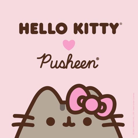 Hello Kitty on Twitter: "You can never have too many friends 🎀 Meet Hello Kitty's newest friend, @Pusheen! ⁠ ⁠ Sign-up and be the first to receive updates when the #HelloKittyxPusheen collaboration launches September 3rd: https://t.co/s3uW0JTDgZ… https://t.co/4IiLE1UIAp" Pusheen Love, Pusheen Cute, Many Friends, Cute Laptop Wallpaper, Pusheen Cat, Hello Kit, Hello Kitty Art, Hello Kitty Iphone Wallpaper, Cute Kawaii Drawings