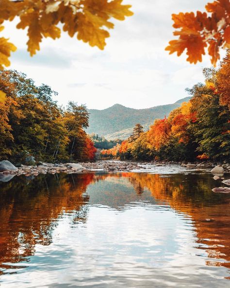 Fall Landscape, Orange Leaves, Hiking Spots, Fall Background, Autumn Scenes, Beautiful Pics, Autumn Scenery, Autumn Beauty, Autumn Vibes