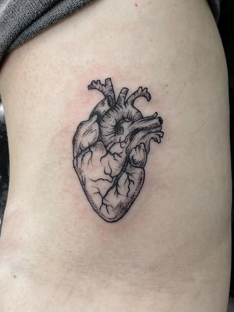 Real Heart Tattoos, Human Heart Tattoo, Realistic Heart Tattoo, Anatomical Tattoos, Healing The Mind, Realistic Heart, Anatomy Tattoo, Brain Tattoo, Red Heart Tattoos