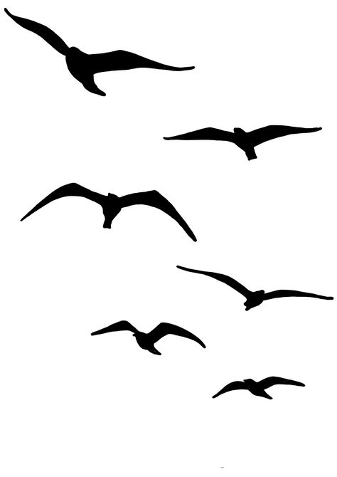 Shadow Bird Tattoo, Birds Flying Silhouette Tattoo, Bird Tattoo Silhouette, Birds Flying Drawing, Birds Silhouette Flying, Flying Birds Drawing, Bird Flying Tattoo, Birds Flying Silhouette, Seagull Silhouette