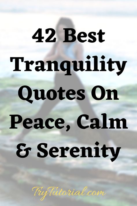 Quotes On Serenity, Serenity Quotes Nature, Quotes About Nature And Peace, Tranquil Quotes, Serenity Pictures, Animal Cuddles, Tranquility Quotes, Quotes For Peace, Horizon Quotes