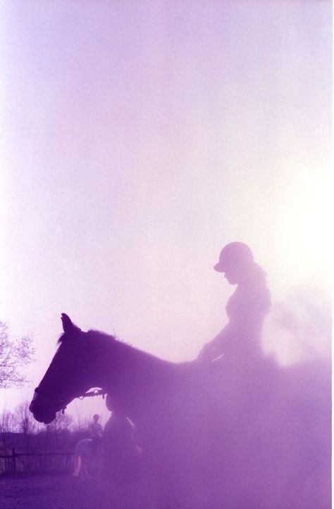 Horse Aethstetic, Draw Your Day, Horse Girl Aesthetic, Horse And Girl, Aesthetic Horse, Night Horse, Purple Horse, Purple Animals, Lavender Aesthetic