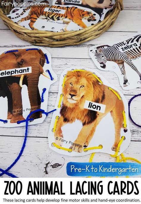 These fine motor lacing cards help kids develop fine motor skills and hand-eye coordination. They're perfect for kids in Pre-K, Preschool and Kindergarten. #finemotor #finemotorskills #finemotoractivities #lacingcards #dinosaurs #zooanimals #farmanimals #bugs #prek #preschool #kindergarten #morningwork Animal Cracker Activities For Preschool, Fine Motor Zoo Activities, Wild Animals Fine Motor Activities, Jungle Activity Preschool, Zoo Fine Motor Activities Preschool, Prek Goals, Zoo Activities Preschool, Preschool Jungle, Toddler Fine Motor Activities