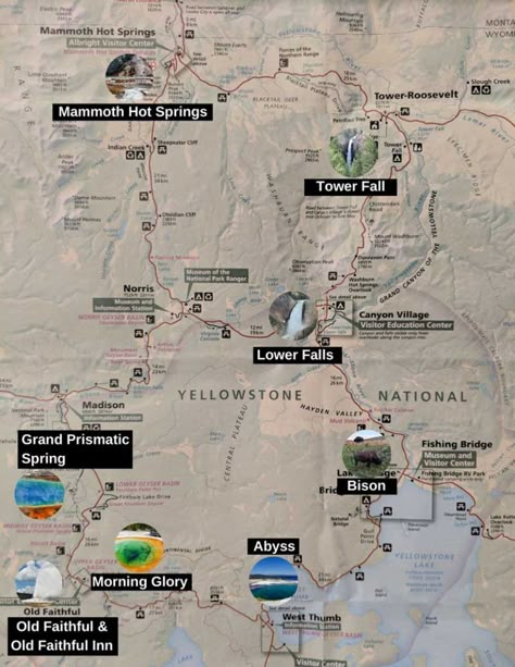 The top things to do in Yellowstone (plus map and itineraries!) Canyon Village Yellowstone, Victor Idaho, Things To Do In Yellowstone, Yellowstone Map, Montana Trip, Yellowstone National Park Vacation, Wyoming Vacation, Yellowstone Vacation, Montana Travel