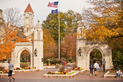 Neo Gothic Architecture, Winery Tasting Room, Bloomington Indiana, Colorful Murals, 4th Street, White Carpet, College Town, Indiana University, Natural Scenery