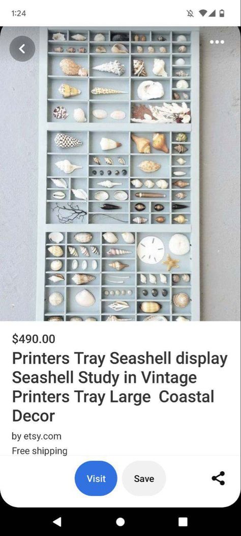 Seashell Display, Small Minds, Printers Tray, Tray Ideas, Coastal Decor, Wooden Boxes, Bedroom Ideas, Sea Shells, Home Art