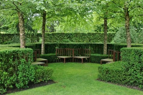 Landscape hedges are awesome ways to provide front yard (or backyard) privacy screens through the use of a living fence-like idea. The best landscaping hedge ideas are those that work with your own lawn and landscape design to create an abundance of plants, buxus, topiaries, tree, for tuin-like inspiration surrounding home privacy. #landscapehedgeideas #livingfences #besthedgeideas #bestlivingfences Privacy Screen Plants, Best Trees For Privacy, Landscaping Around Patio, Cherry Laurel, Laurel Hedge, Formal Garden Design, Garden Hedges, Screen Plants, Landscaping Trees